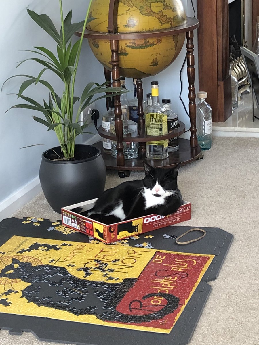 katki89's tweet photo. @europuz I think my cat stole the final piece of my 1000 piece jigsaw. Any way to get a replacement piece? 🤣 https://t.co/BeK1TWi722