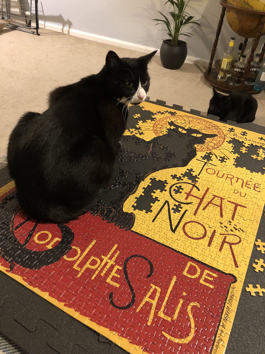 katki89's tweet photo. @europuz I think my cat stole the final piece of my 1000 piece jigsaw. Any way to get a replacement piece? 🤣 https://t.co/BeK1TWi722