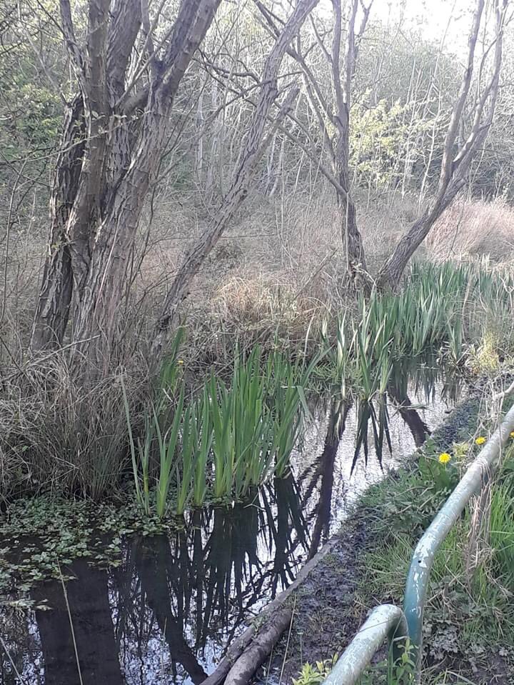 mazza927's tweet photo. Last week I decided to complete the Endurancelife 7 day x 1hour a day running challenge.  I managed 7km every day for 7 days.  I honestly didn’t think I’d be able to do that mileage consistently for 7 day.  #iblamejulie, @PontefractAC, #TFTR https://t.co/yzaXYxOAJ6