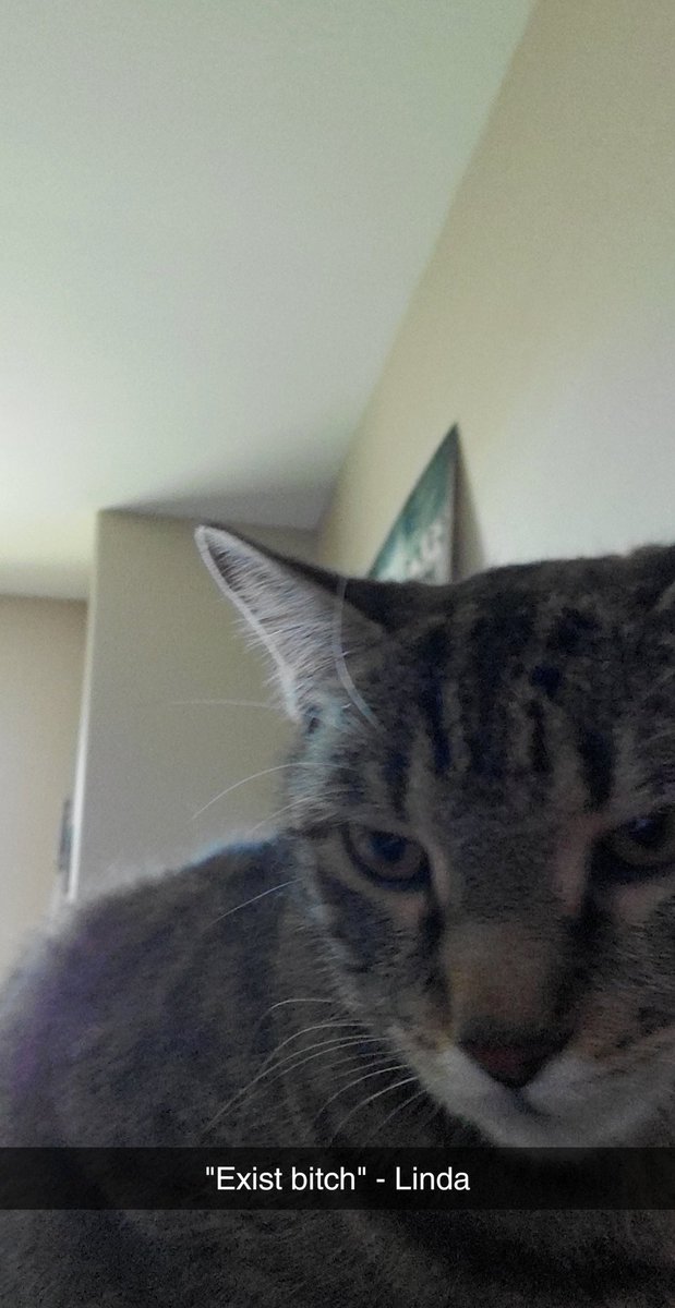 orbpixel's tweet image. Linda out here giving me permission to live