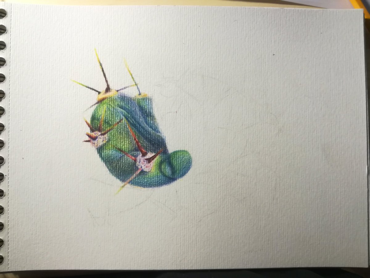 ShedowFile's tweet photo. A coloured pencil study!! I added a time lapse of the (almost) entire process at the last slide!
#art #traditionalart #colourpencil #colourpencilart #cactuslover #cactus #splashofcolour #scientificillustration #realismart #colourrealism #ilustration
https://t.co/0sZpkaFaOA https://t.co/WFR8MTaQyF