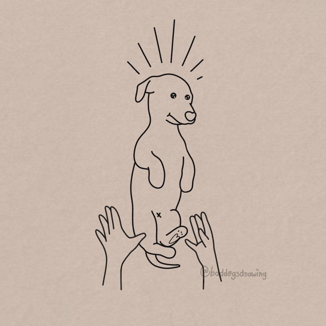 dogs (or not) in minimalist drawings bad (@baddogsdrawing) on Twitter photo 