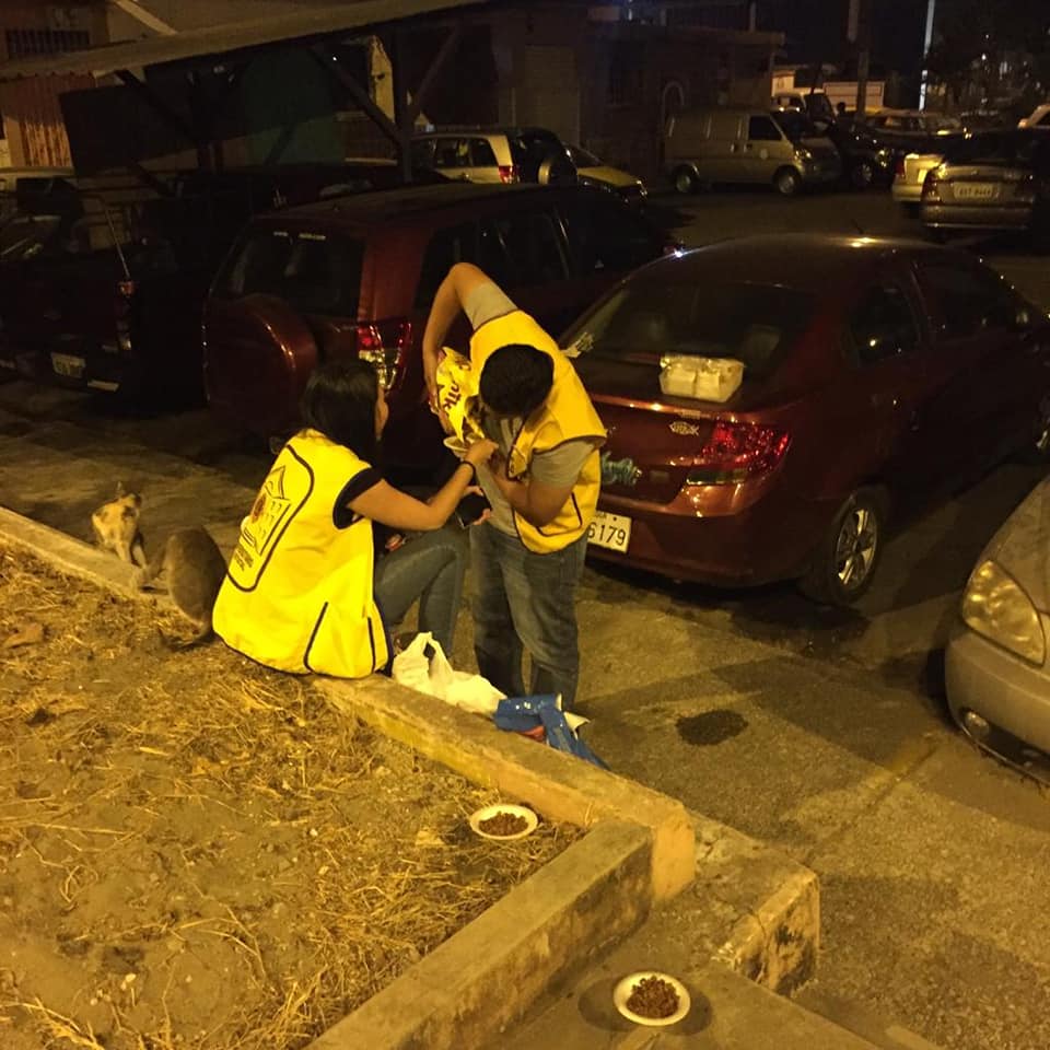 ClubLeonesUGE's tweet photo. se entrego comida a gatos abandonados, trabajo con la jefa de Zona https://t.co/AVO8y50bbJ