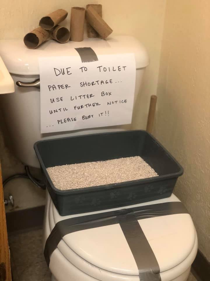 TeriMcGill's tweet photo. π·ππ·ππ· #CoronaVirusUpdate #ToiletPaper #ToiletRollChallenge #ToiletPaperEmergency #ToiletPaperApocalypse #ToiletPaperPanic #ToiletPaperWars #ToiletPaperGate #ToiletPaperChallenge #ToiletPaperCrisis #ToiletPaperShortage #Stockpile #ToiletPaperSolution #HCWShoutOut #HCW #HCWs https://t.co/g50mCvxhHA