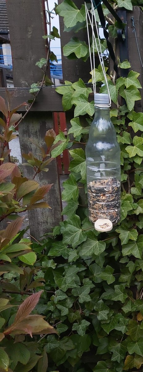 Claire1980's tweet photo. @AiryhallSch homemade bird feeder inspired by @maddiemoate and @gregfoot its been on our radar to do this since we saw it on YouTube at start of lockdown but I kept forgetting to get wooden spoons oops ! 
#aberdeenlearns https://t.co/0MGIGUeZig