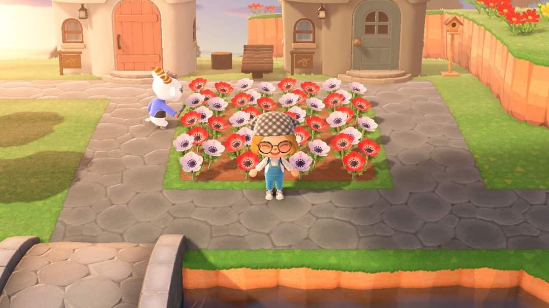 Jeff_iner's tweet photo. Animal crossing has kept me occupied and sane during the lockdown and after 6 and a half weeks, I've finally hit 5 stars out of 5😍 https://t.co/oEofoj2beo