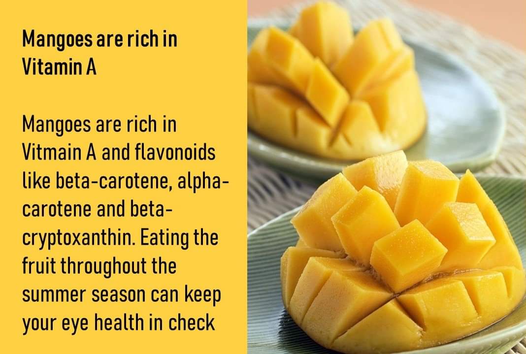 SunsipAgro's tweet photo. For more details on our mango and other fruit pulp/puree/concentrate offerings, visit us at https://t.co/ud4VMDkCXV or email at marketing@sunsipagro.com for a competitive offer. https://t.co/v8M4ZdCnQv