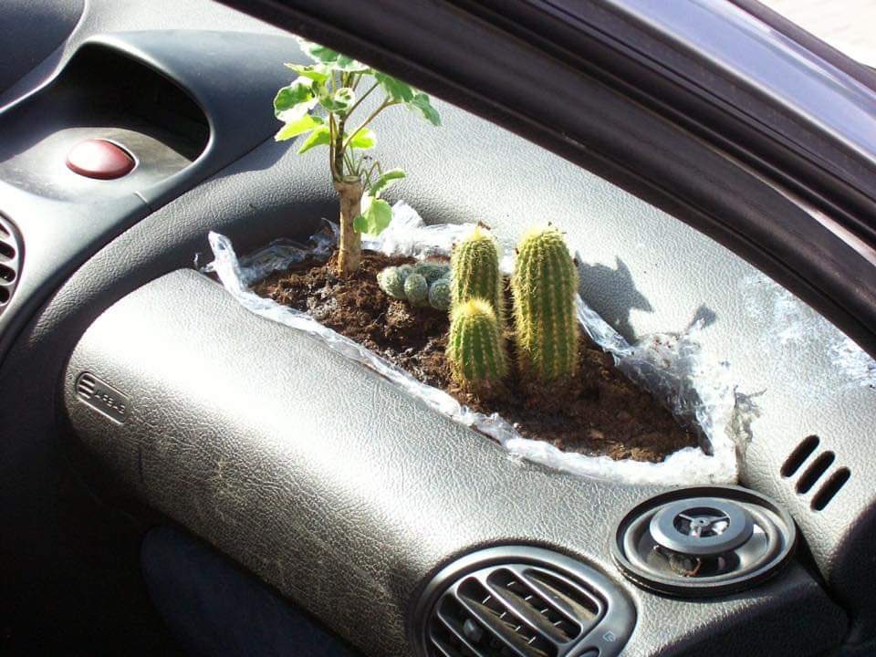 ElijahBogere's tweet photo. #M7Address try to avoid AC and have natural air. Ugandans came up with an idea of plants 🌱 in their automobiles.
@CymonOtran @UgLandLord @NasasiraArnold @DeanJoshua26
#COVID19 #lockdown tales.
#UGANIG #ugandavskenya #UgandaVsSouthAfrica #UGASWAR https://t.co/AXsUjUx54s