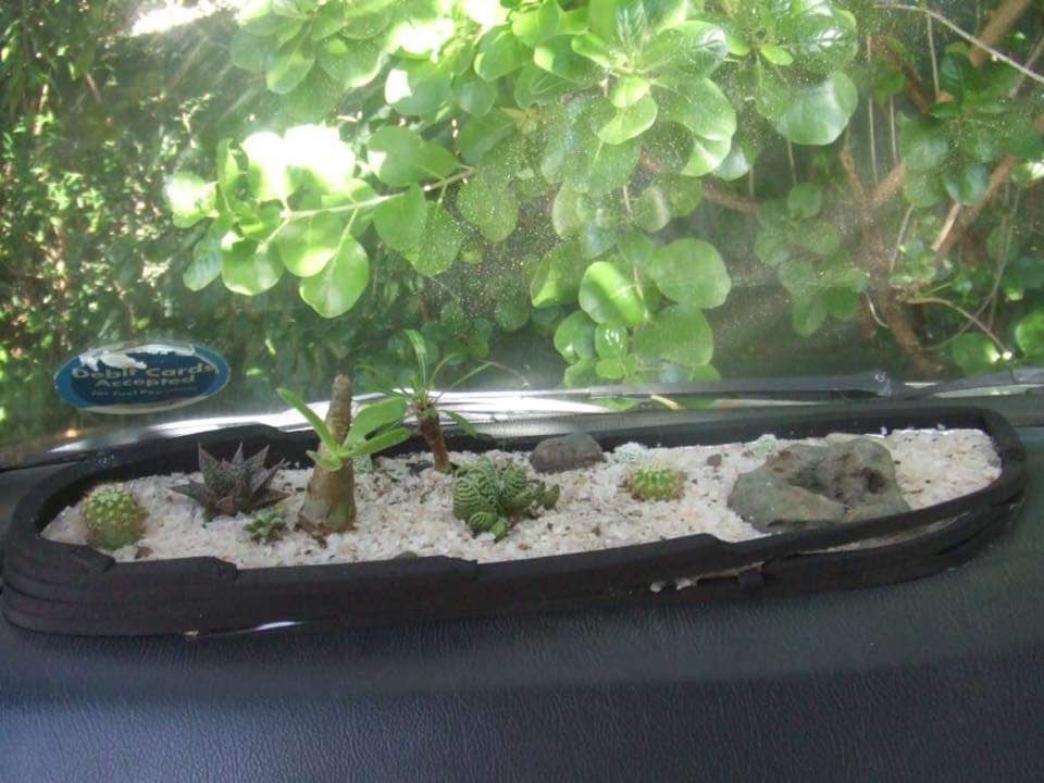 ElijahBogere's tweet photo. #M7Address try to avoid AC and have natural air. Ugandans came up with an idea of plants 🌱 in their automobiles.
@CymonOtran @UgLandLord @NasasiraArnold @DeanJoshua26
#COVID19 #lockdown tales.
#UGANIG #ugandavskenya #UgandaVsSouthAfrica #UGASWAR https://t.co/AXsUjUx54s