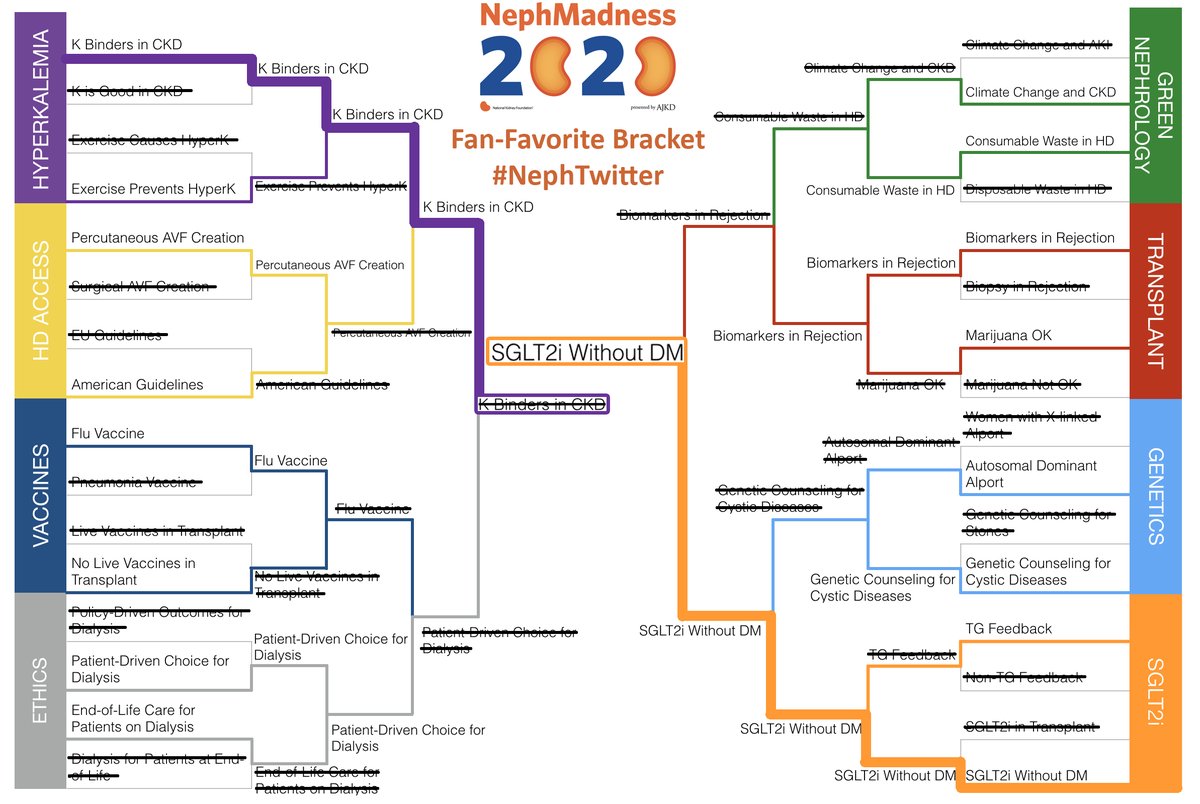 iheartkidneys's tweet photo. 🎉🎊 Hey #NephTwitter, our Fan-Favorite bracket champion #SGLT2i has made it into the official #FilteredFour of #NephMadness 2⃣🏀2⃣🏀. https://t.co/s9F9Bzw4Bh