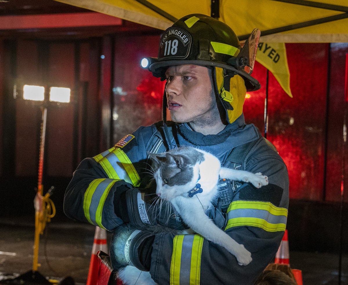 Fox11TalkNow's tweet photo. The purrfect way to start your week! Watch an all-new episode of #911OnFOX with a guest appearance by @conniebritton , tonight 8p on @FOXLA https://t.co/ceI1uJlQGV