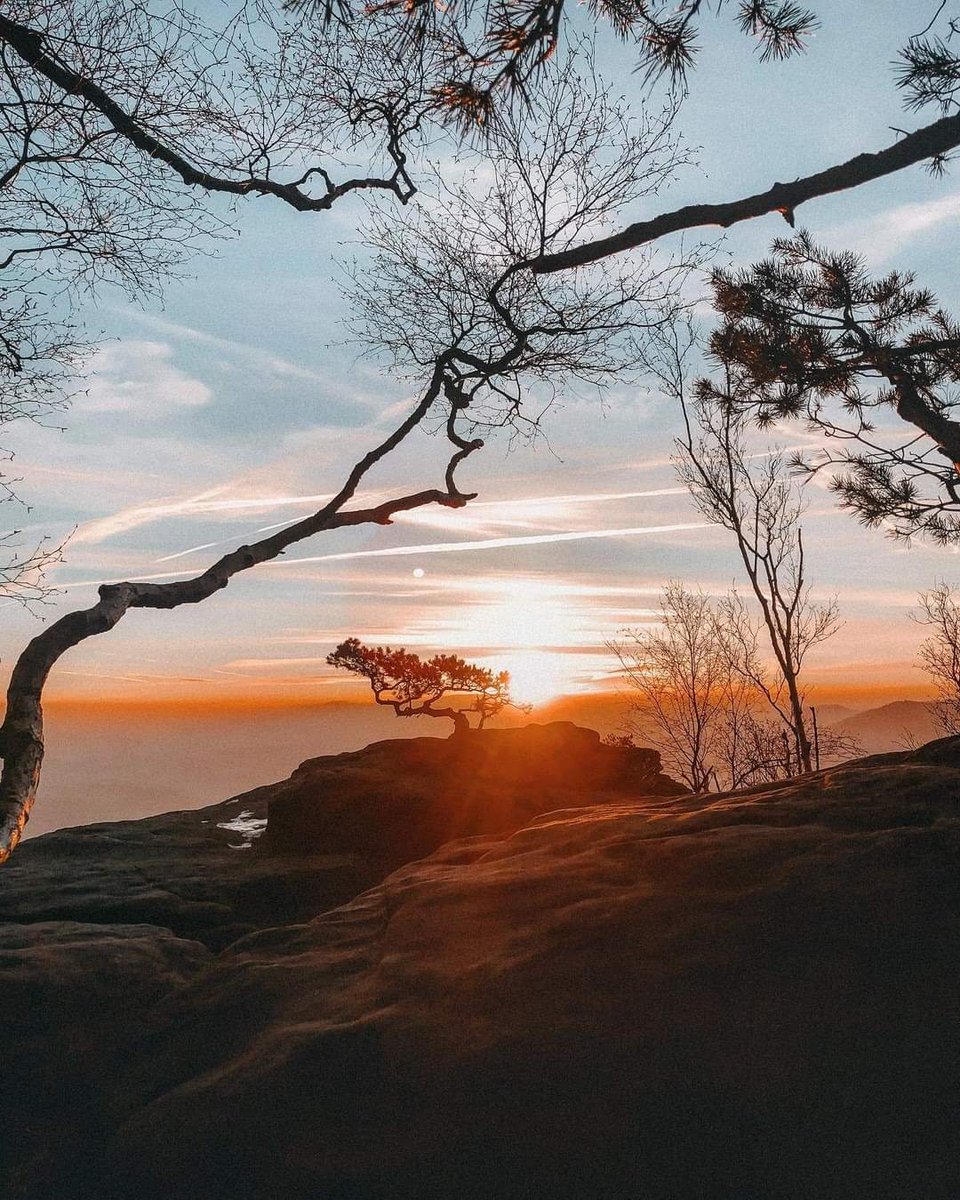 Mein heutiges Betthupferl 💙☄
Gute Nacht, liebe Alle❣😘💕
~~~
Sonnenaufgang am Lilienstein Quelle: instagram.com/p/B_LF4zwnmcE/⁠ 
#sächsischeschweiz
#elbsandsteingebirge