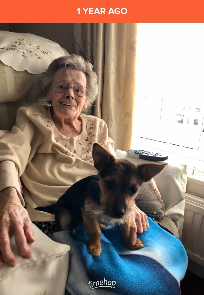 LouHedges's tweet photo. Year ago today two great ladies met... #mrshidensnr and #misshiden the second @LittleDotYorkie https://t.co/VZhTfWs1ku