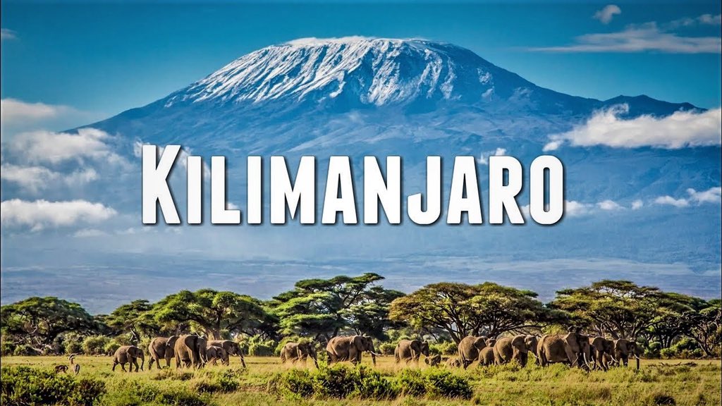 WindyWilson88's tweet photo. Windy says I am so buzzed to be doing #Kilimanjaro in 2021 with @GlobalAdv for @supportCHAS and Scotland’s children
#KeepTheJoyAlive #WindyDoesKilimanjaro #TrekWindyTrek #Kilimanjaro2021 #Mountaineer #CHAS #WindyWilson #GlobalAdventureChallenges https://t.co/yc8tI5douz
