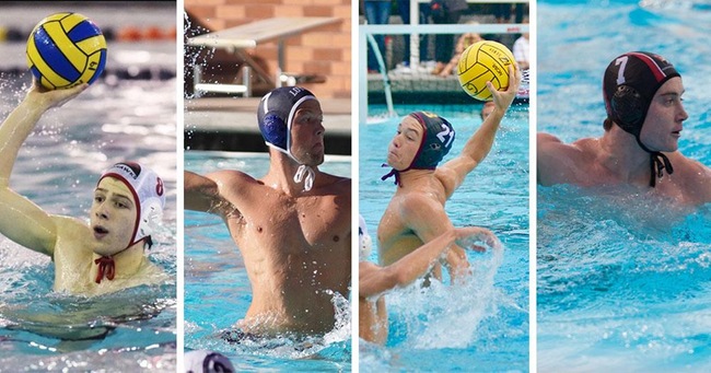 Harvard Water Polo tweet media