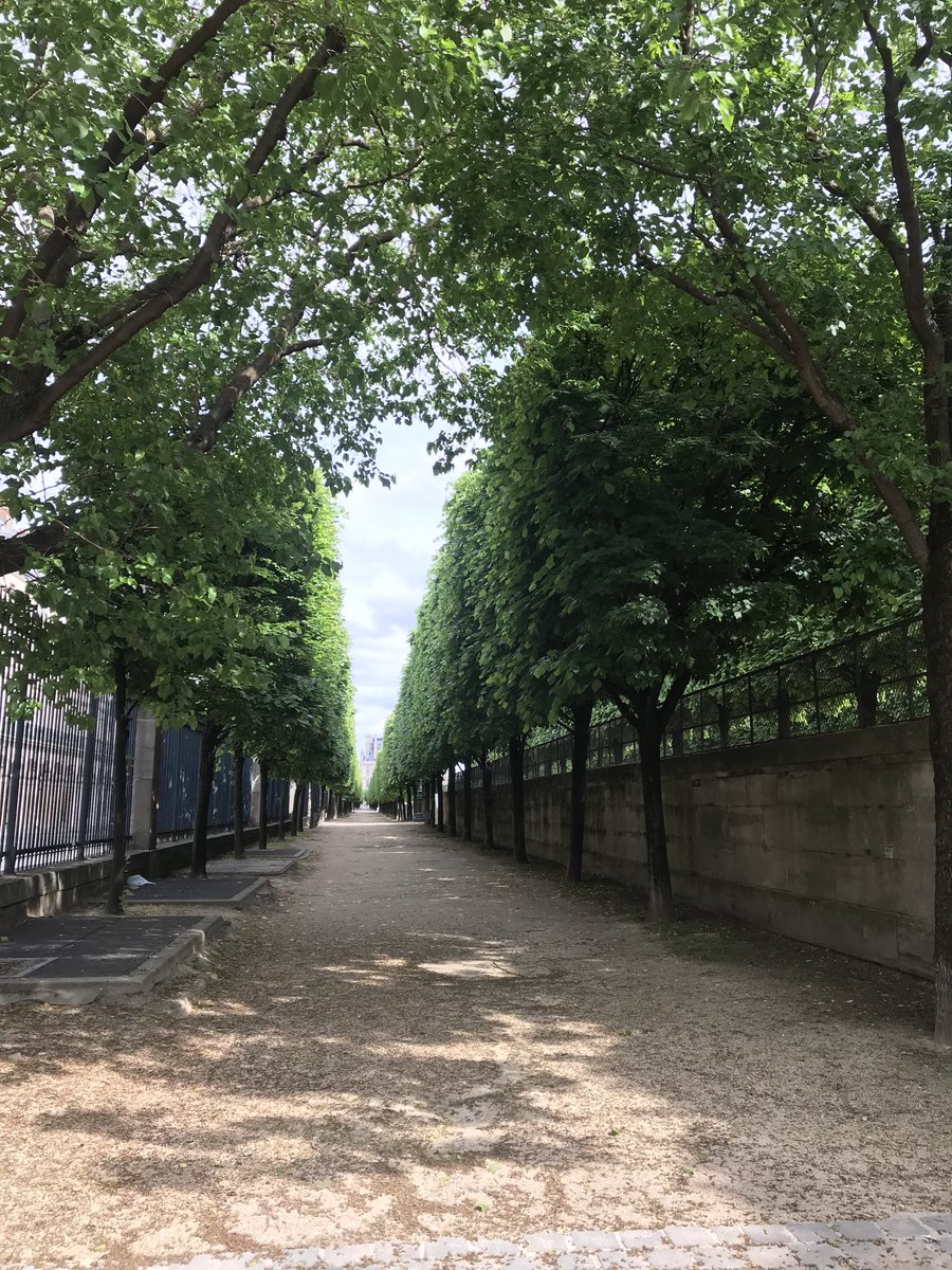 Allée des Tuileries ! #Paris