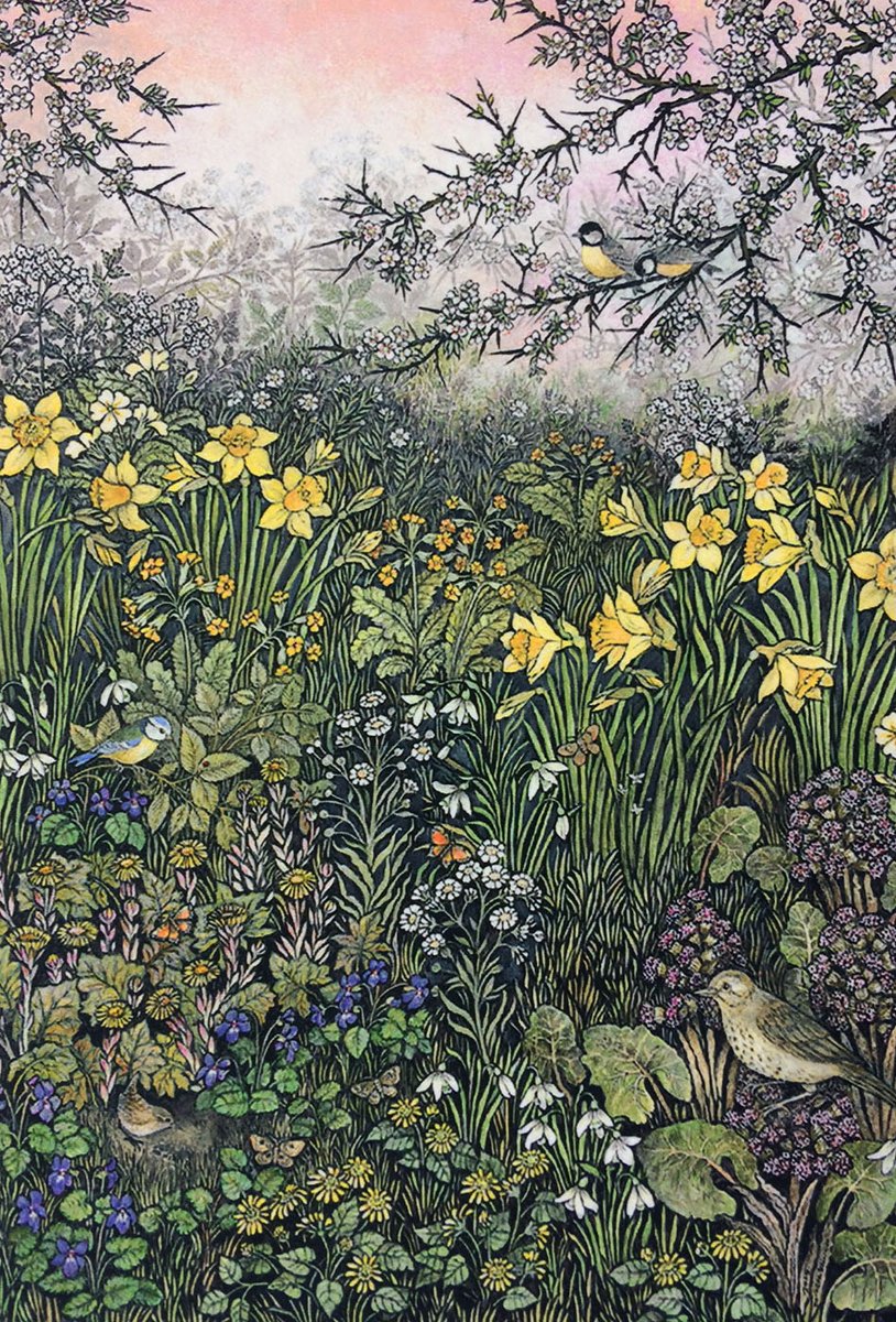 PiggeryPottery's tweet photo. 🌳🦋Here is Barbara with her latest painting🦆🌸
#GraysonsArtClub #Welshwildlife #InspiredByNature #BringingNatureInside #NorthWales #Nature #Wildlife #wildflowers https://t.co/BFGWHj2r2M