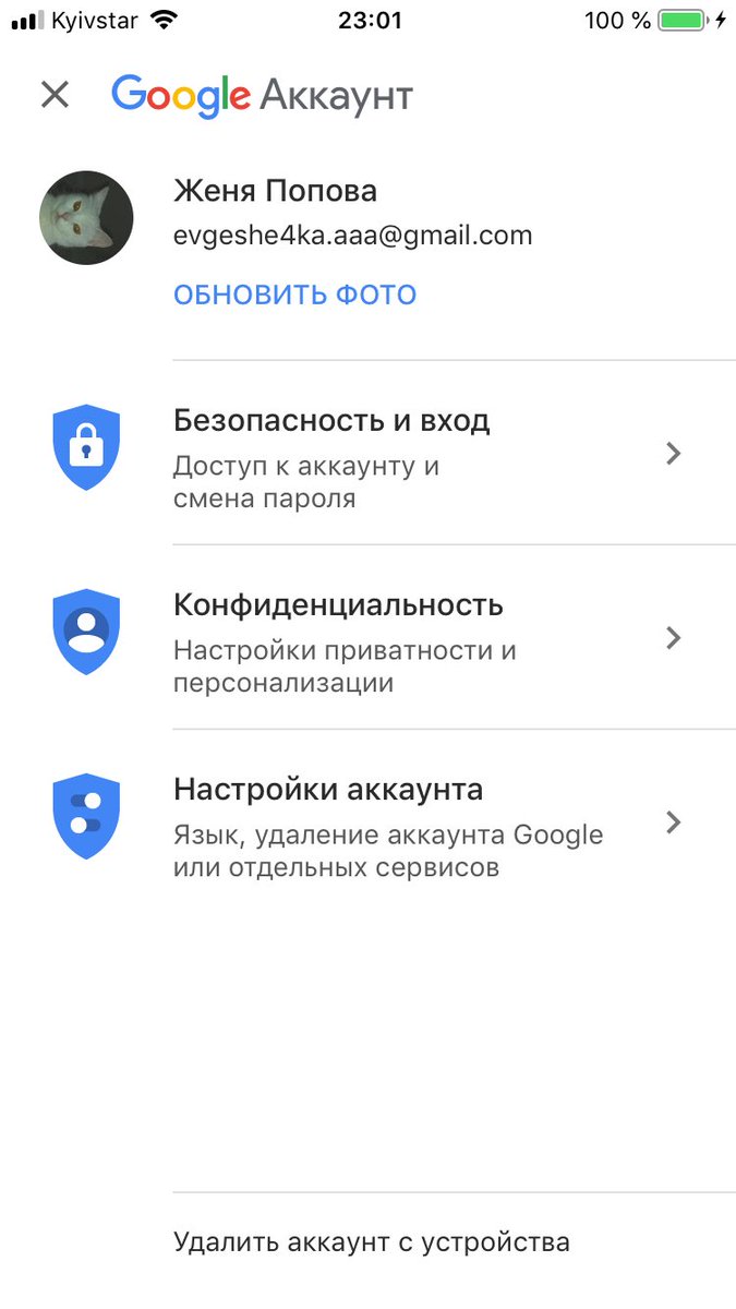 babbka's tweet photo. Здравствуйте, я на всех своих аккаунтах поставила на аву кошку своей подруги так как эта кошка олицетворяет мое душевное состояние https://t.co/Q0fz8MTq24
