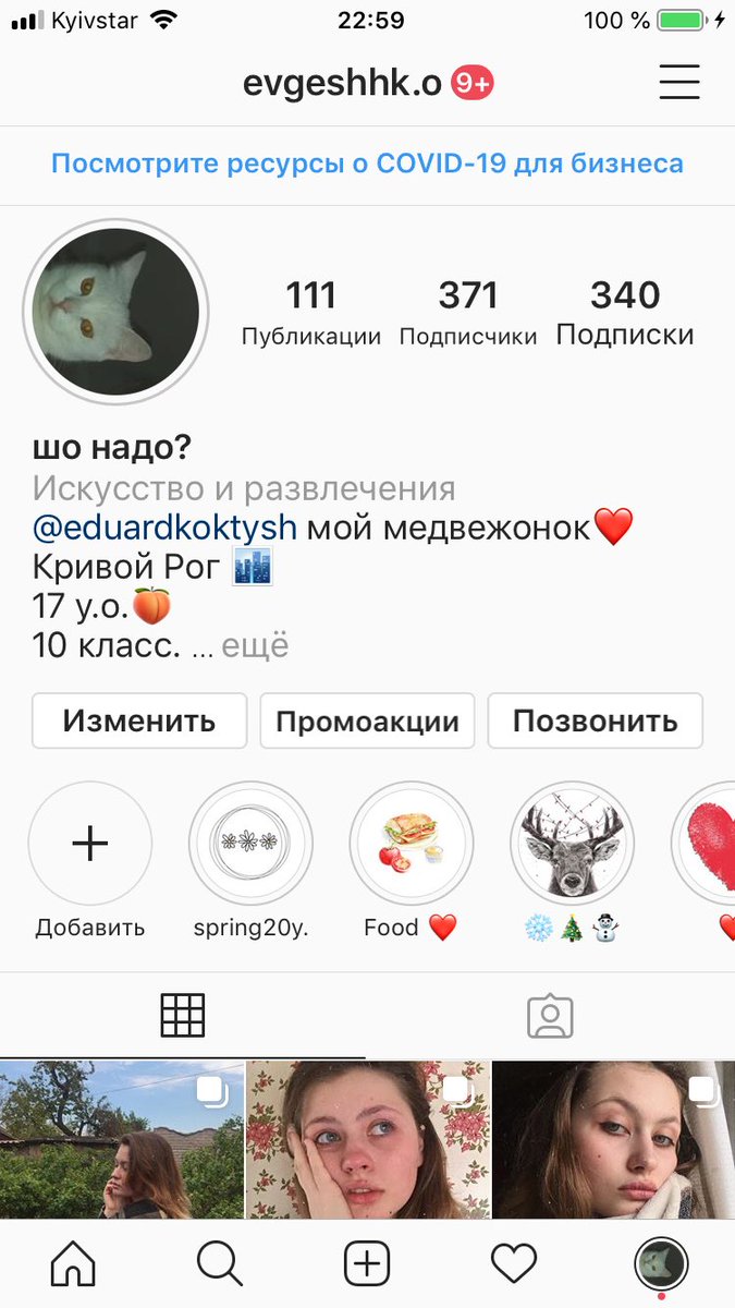 babbka's tweet photo. Здравствуйте, я на всех своих аккаунтах поставила на аву кошку своей подруги так как эта кошка олицетворяет мое душевное состояние https://t.co/Q0fz8MTq24