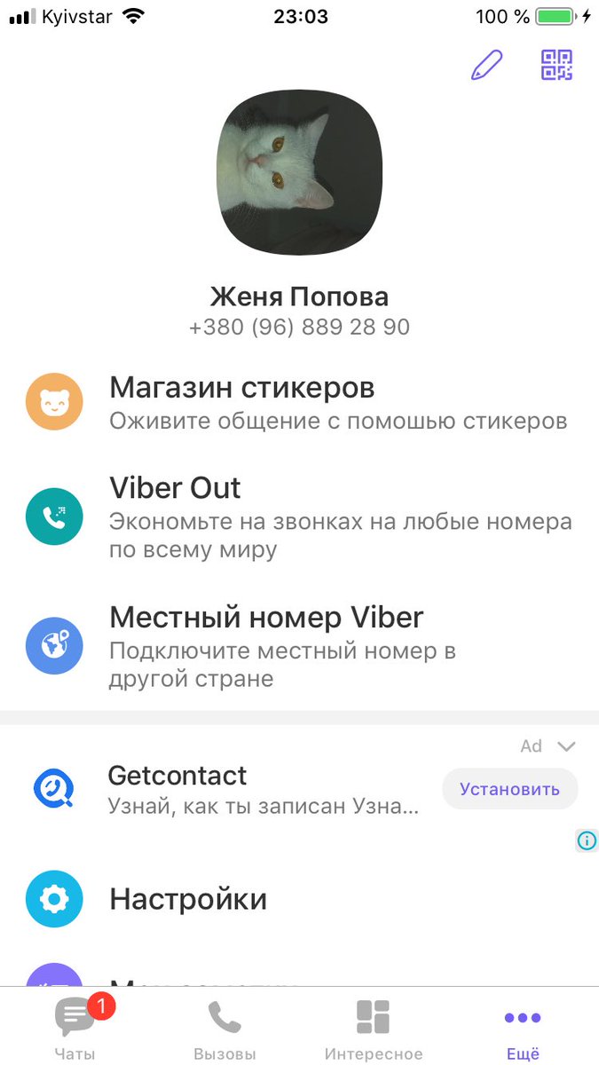 babbka's tweet photo. Здравствуйте, я на всех своих аккаунтах поставила на аву кошку своей подруги так как эта кошка олицетворяет мое душевное состояние https://t.co/Q0fz8MTq24
