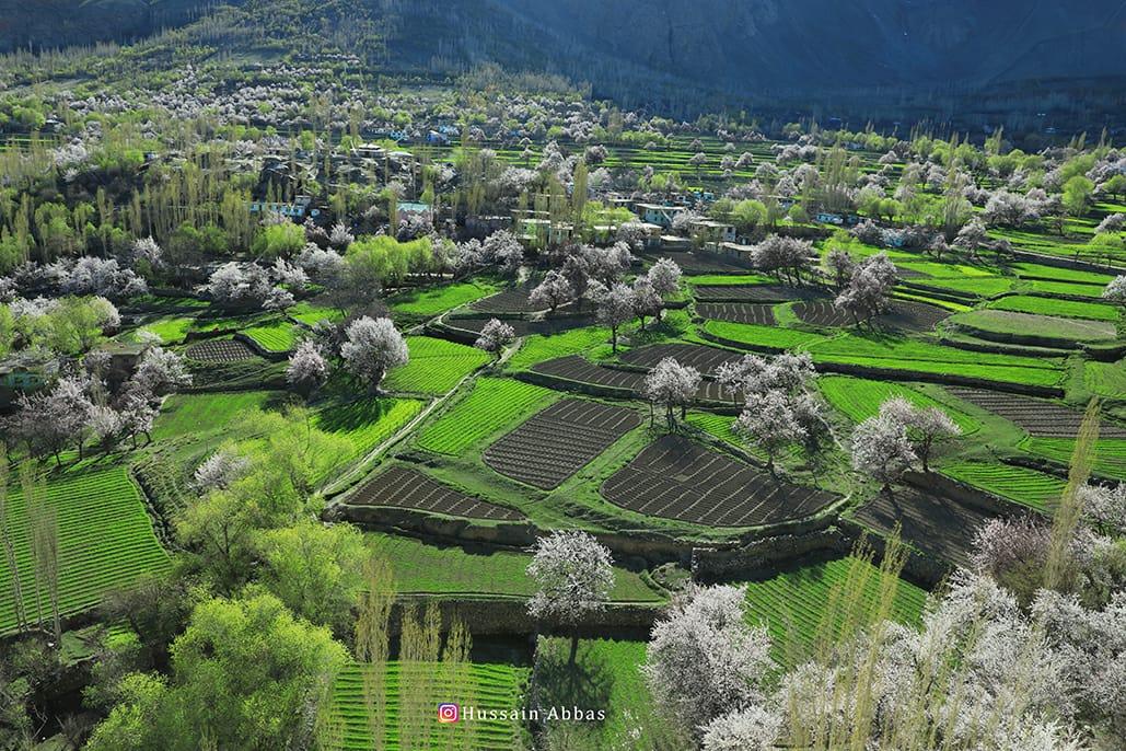 Ibn_e_Adam11's tweet photo. Heavenly beautiful Baltistan. https://t.co/MuxlNX0wcK