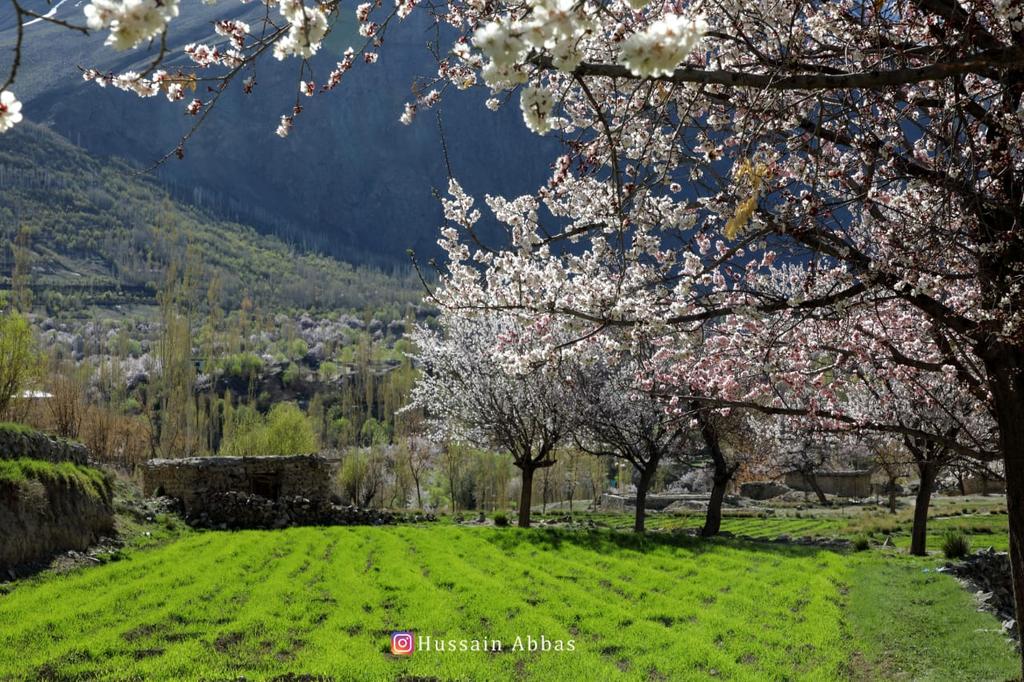 Ibn_e_Adam11's tweet photo. Heavenly beautiful Baltistan. https://t.co/MuxlNX0wcK