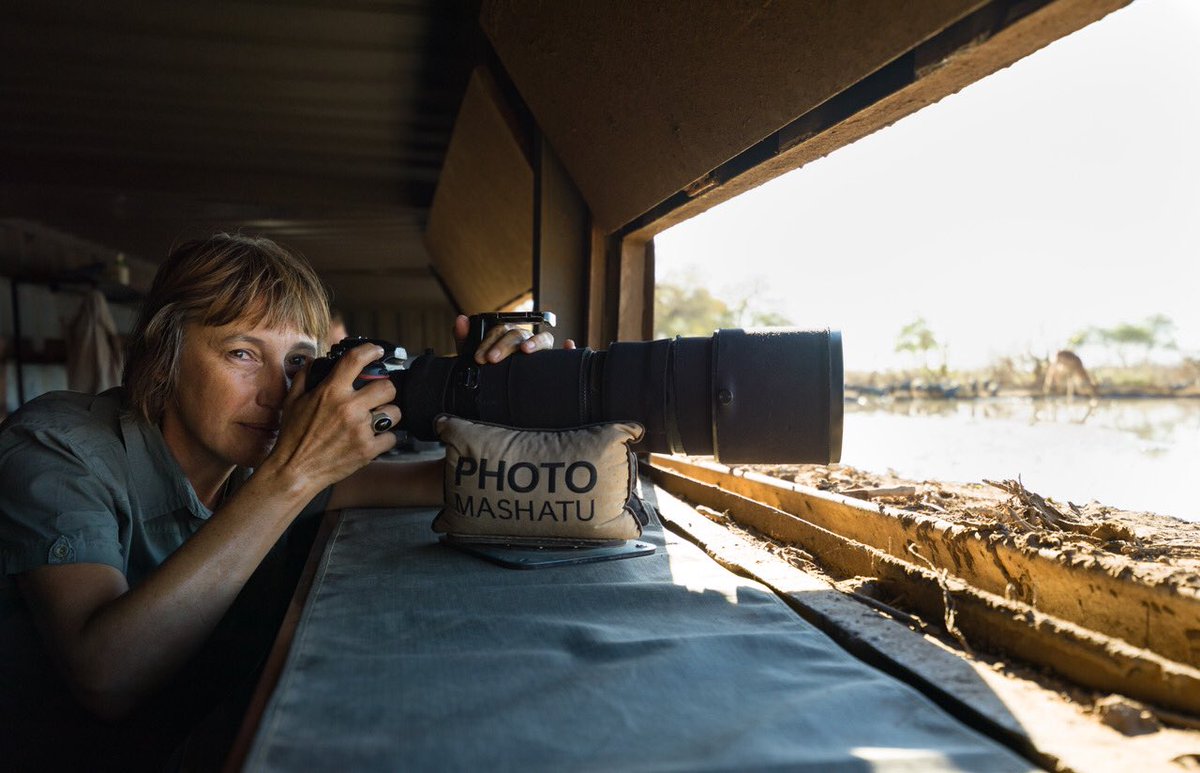 Ashley Rothman (@RothmanAshley) | Twitter