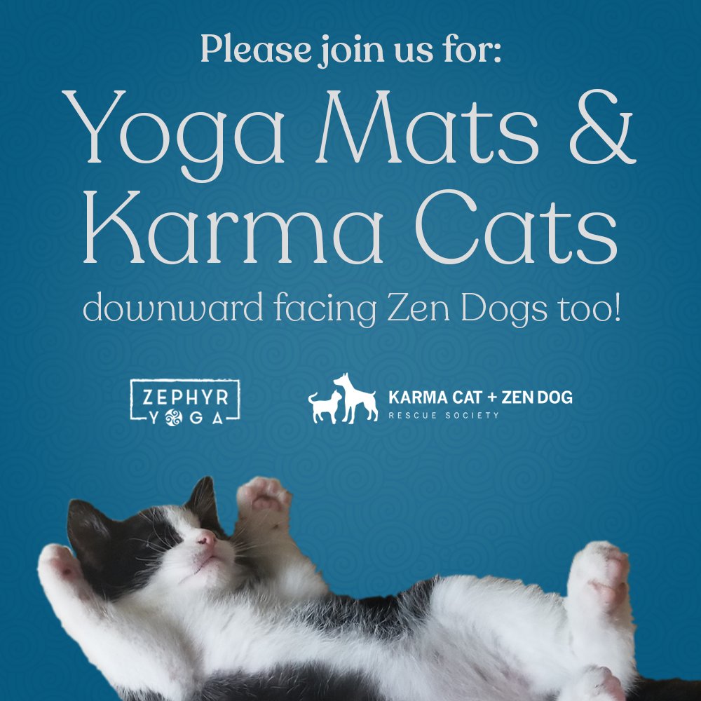 KarmaCatZenDog's tweet photo. Yoga from the privacy of your own home - to benefit the animals! Join us on May 11 at 6 PM for Yoga Mats & Karma Cats (& downward facing Zen Dogs too)! Hosted by Zephyr Yoga - learn more & sign up here: https://t.co/4KSZZmEeVs #yoga #fundraiser #karmacats #zendogs #zephyryoga https://t.co/cDG4qP7A6G