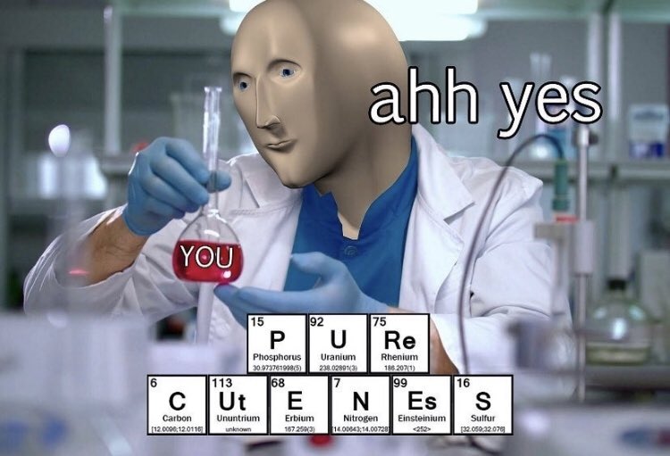 Respectful Memes tweet media