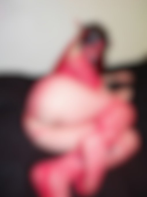 Sign up to my Modelhub Fan Club to see this brand-new exclusive photo: https://t.co/O3325nHn62 https://t<a href="/tag/tinydick"class="tags"><span>#tinydick</span></a><a href="/tag/sissyboy"class="tags"><span>#sissyboy</span></a>