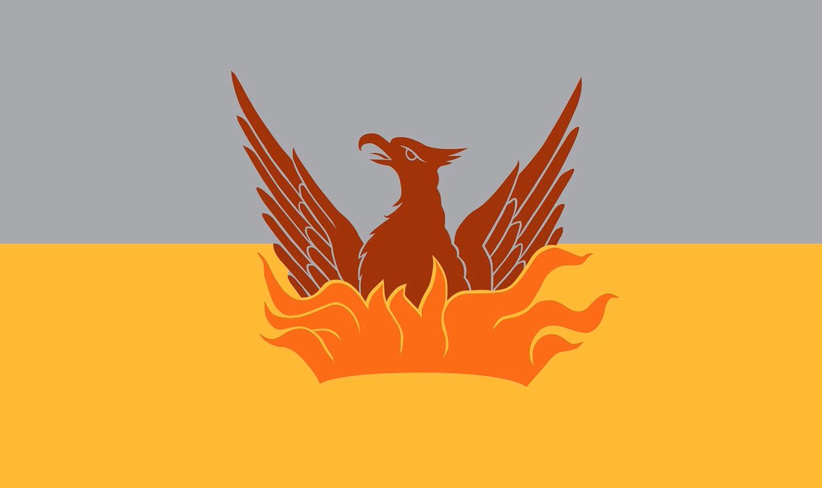 FlagNerds's tweet photo. Brian Stokle’s (@urbanlifesigns) fantastic Fog &amp; Gold flag for San Francisco is easily one of the best and most bad ass redesigns I’ve ever seen!  @SFfogGoldflag https://t.co/W7Ykj0ciZO