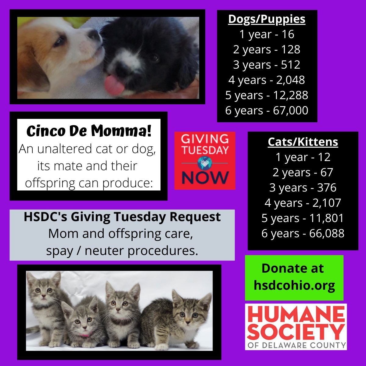 Humane Society of Delaware County on Twitter: "No elective surgeries ...