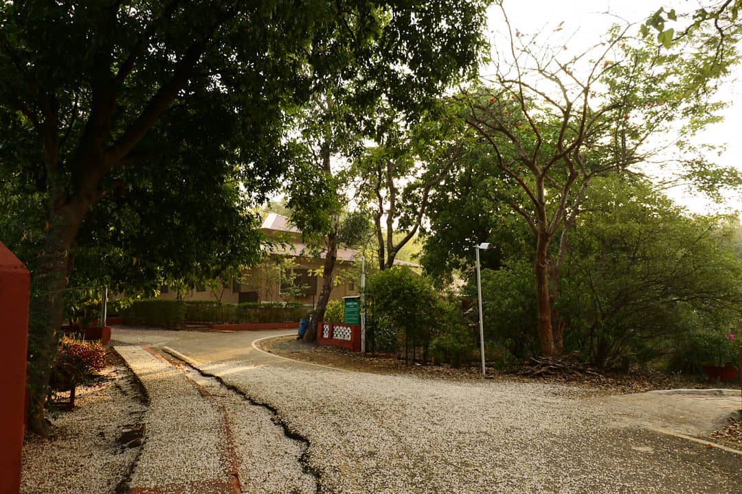 kdhamyoga's tweet photo. Just one small positive thought in the morning can change your whole day.

#stayathome #staystrong #kdham #kaivalyadhamayogainstitute #nature #yoga #innerpeace #knowledge #yogaeducation #yoga
#kdham #nature_perfection #yogatherapy #wild #kaivalyadhamayogainstitute #meditation #yo https://t.co/hHUrRkT13T