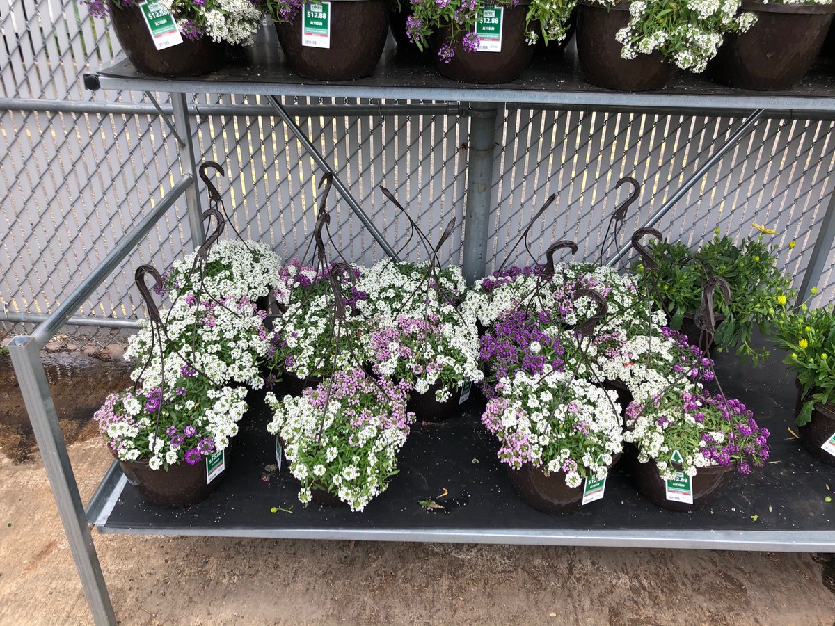 ddhorror's tweet photo. Summer is coming   Start your garden now 
Walmart in Toms River, nj has your needs https://t.co/DBaJisnH3v