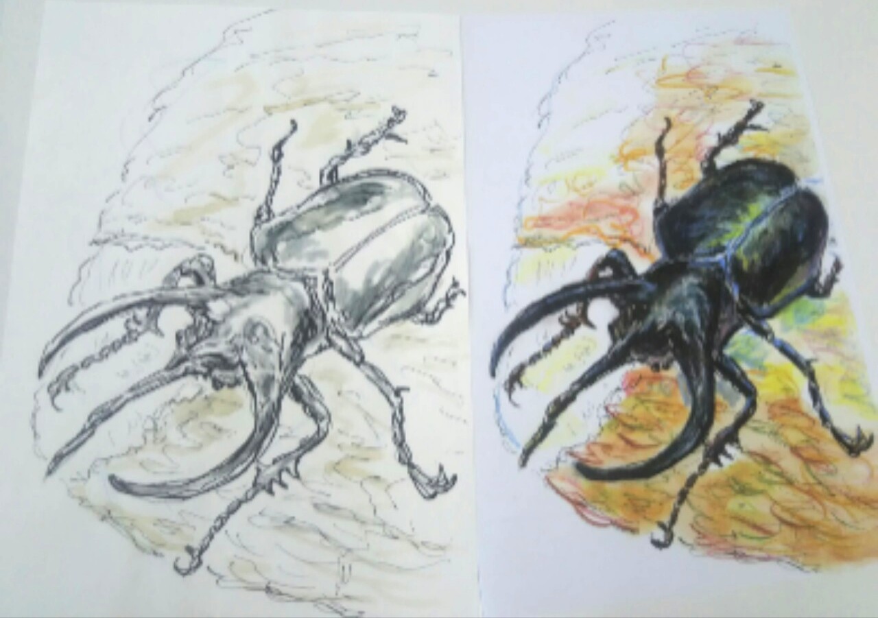 ねこい 元ギャラリーねこい 7月日亀田イオンカルチャースクールで水彩色鉛筆塗り絵教室をします 端午の節句 なので児童館やひまわりクラブでの水彩色鉛筆ぬりえ教室に使用していた 男の子向けぬりえを っ W っ暫く熱心にコツを聞いてきた子達には