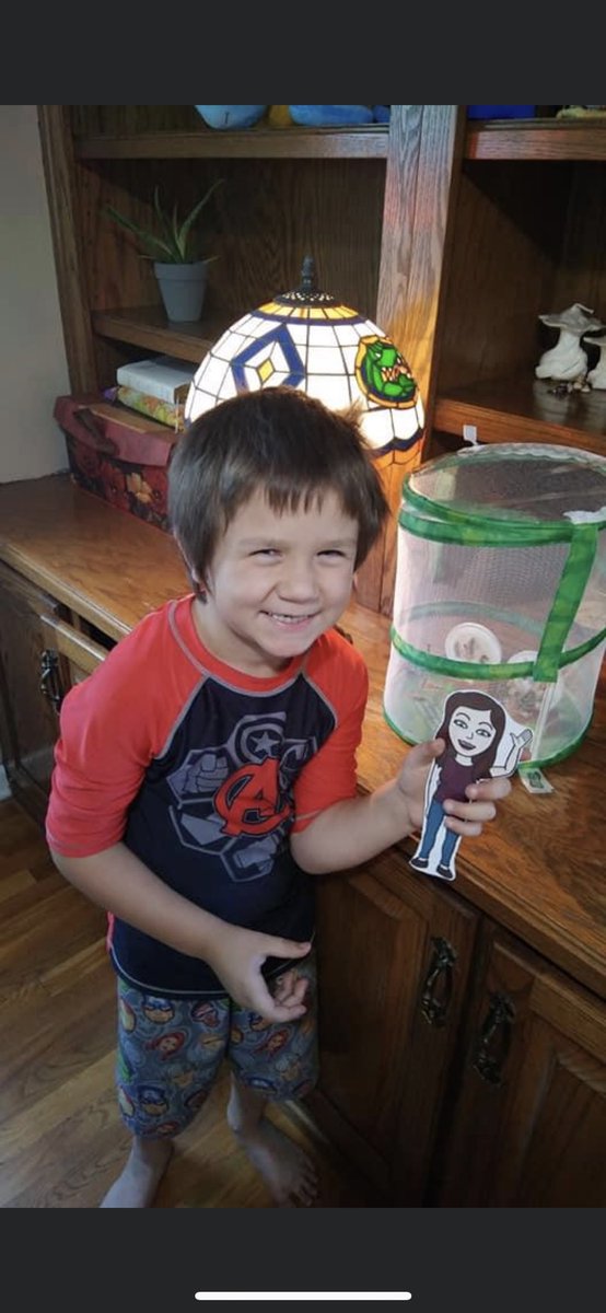 “Flat Mrs. Dillard” hanging out with Barrett looking at his newly hatched butterflies!  #lifeisbetteratthelakes @MaryAlcornGLES <a href="/jebarp/">Jeb Arp</a>