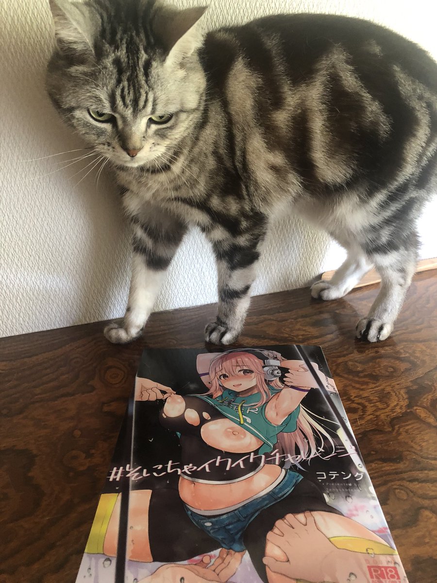 今日の売り子さんです。コミケ初参加なので不手際があったら申し訳ありません🐈 #エアコミケ 