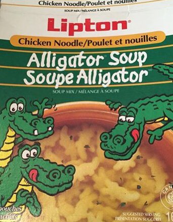 mtlay's tweet photo. @MissPointless Je veux pas faire mon Joe Connaissant mais, ça aurait l’air que l’alligator 🐊 goute le poulet 🐓. #onditque https://t.co/fJUNfdTaDz