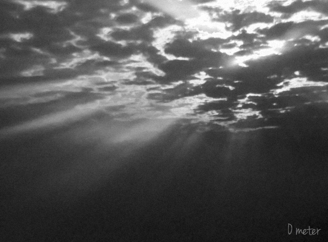 GridWhite's tweet photo. monochrome 0090

昨日より輝く未来へ。過去への未練は断ち切って･･･

✄--------------- ｷﾘﾄﾘ --------------✄

#1000favBWチャレンジ
#モノクロ
#photography
#写真で奏でる私の世界
#キリトリセカイ
#写真好きな人と繋がりたい https://t.co/cZzR5yjo57