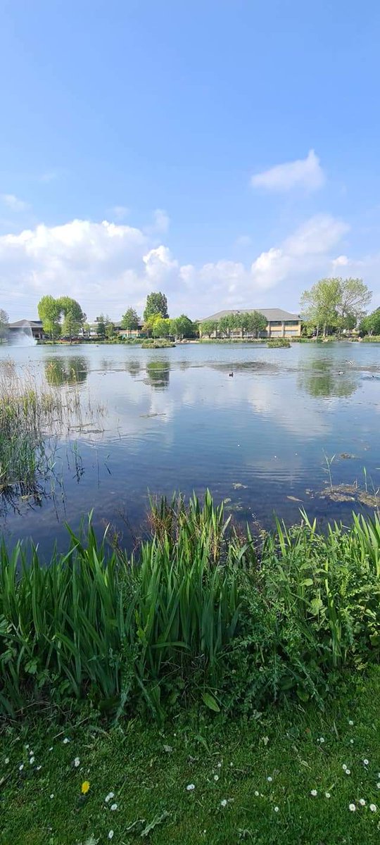 ClarkSc76's tweet image. Where the lake meets the sky