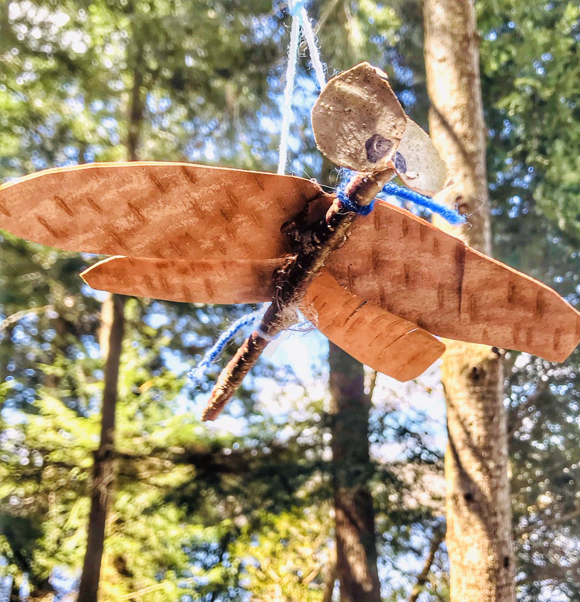 meljmaxwell's tweet photo. Nature dragonflies: following the lead of the child in class and in distance learning. #TLDSBlearns #fdk https://t.co/myMdCwkMi3