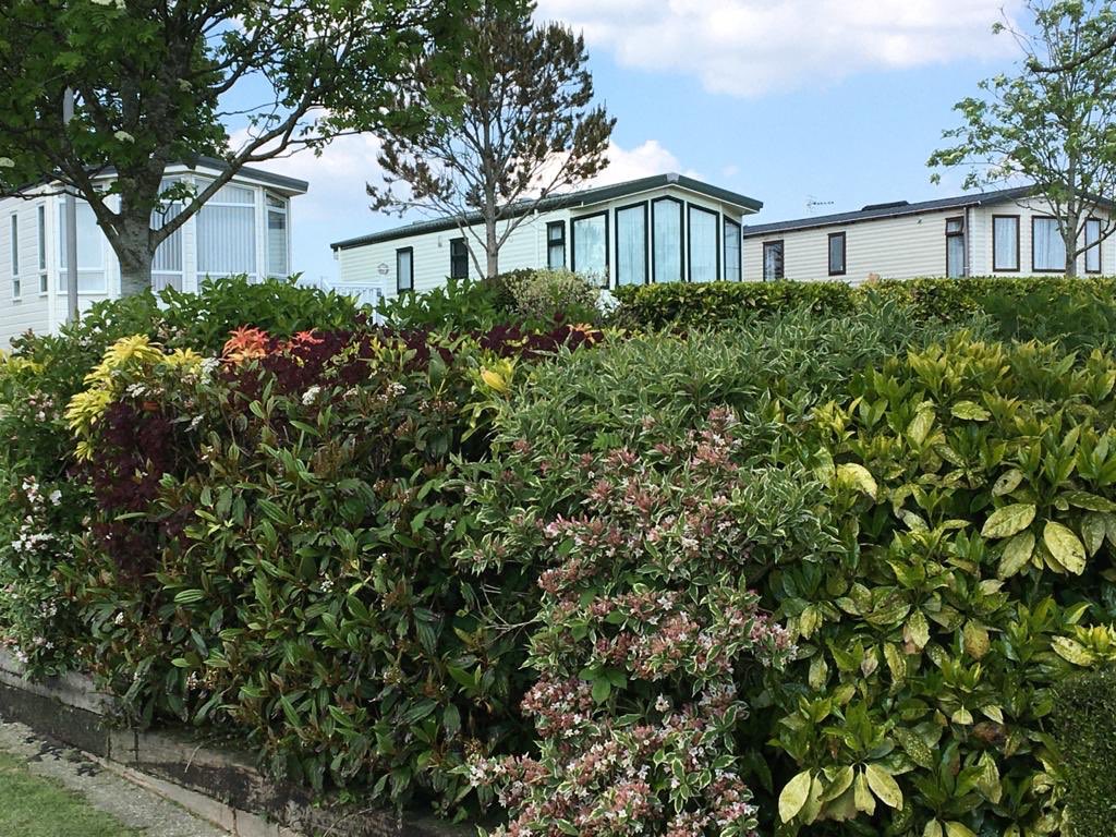 CaravanOcean's tweet photo. The park is looking as good as ever after all this great weather, shame there is no one here to enjoy it!!#oceanheightscaravanpark #visitnorthwaleslater #visitwaleslater #protectourNHS #savelives #protecttourismjobs @BHHPA @LSRPlaid @ElisThomasD @ThornleyLeisure https://t.co/b0c5pJ80lV