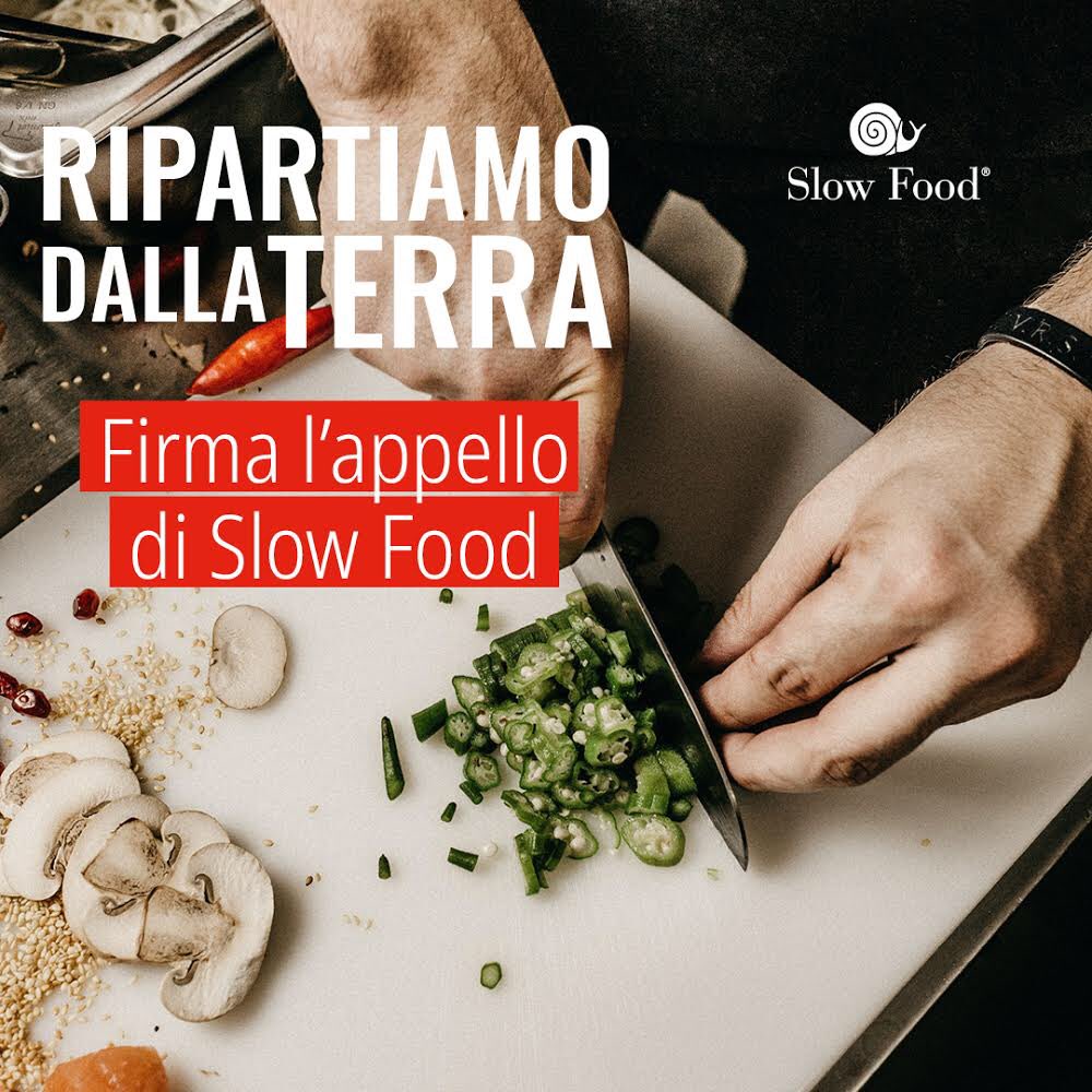 leo_rieser's tweet photo. Ripartiamo dalla terra: firma anche tu l'appello di Slow Food.
Sostieni la migliore agricoltura d'Italia e la ristorazione di qualità.
#ripartiamodallaterra con #slowfood
https://t.co/o4ZREA5Nv3 https://t.co/4PdIElMBqf