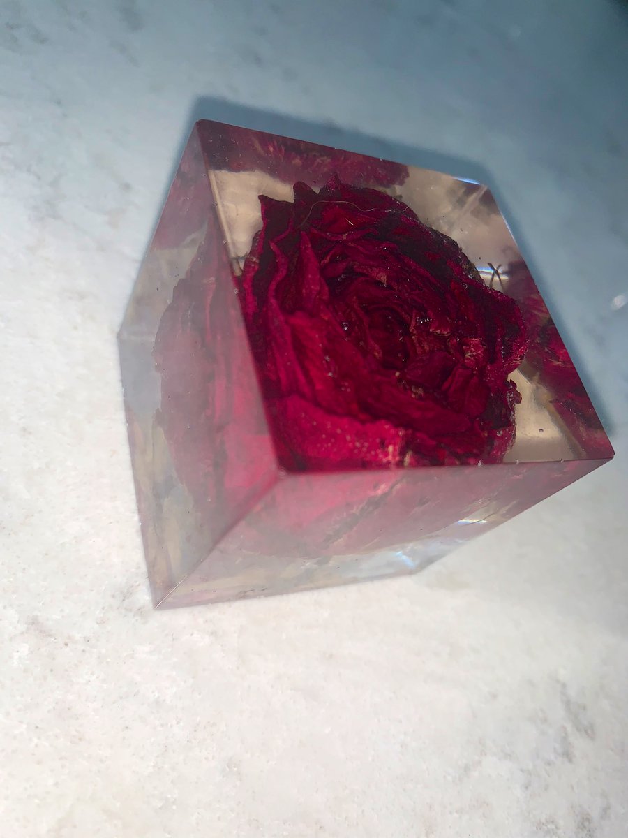 Torias_Secret_'s tweet photo. I freeze flowers from things that are important to me. So I made a resin mold with one of the roses that Danny gave me for our 1yr wedding anniversary as a gift for Danny. He has it in his studio on his desk. I love him. 😊 https://t.co/hpVh2f3i06