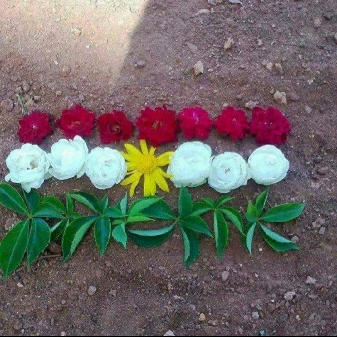JLezgin's tweet photo. Ala herî xweşik ya kî ye hevalno ?❤ https://t.co/p0pRPXTFPr