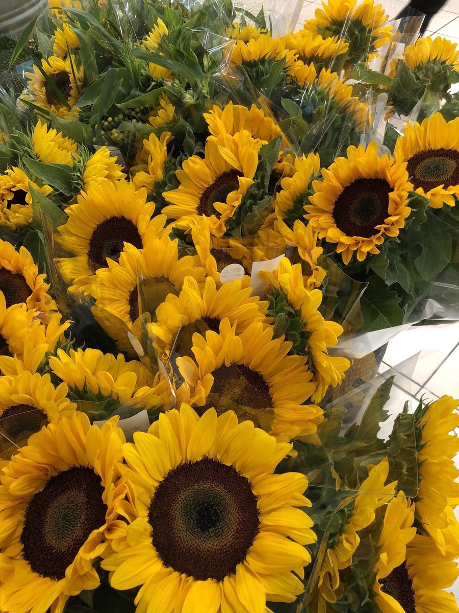 sunflowerlust's tweet photo. sunflowers always brighten my day 🌞🌻😍 https://t.co/4OwFIzMKKw