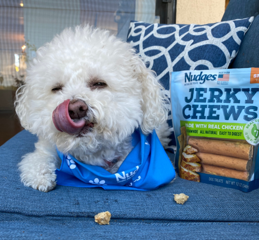 morewless's tweet photo. #ad Show your faithful companions how much you love them by giving them all-natural @NudgesDogTreats that are made with protein &amp; USA sourced meats. Buddy loves the new Nudges® Jerky Chews. Pick up #NudgesDogTreats at Walmart then #SayItWithANudge. https://t.co/8Xc1WFVSbF https://t.co/0V2Cec3s6A