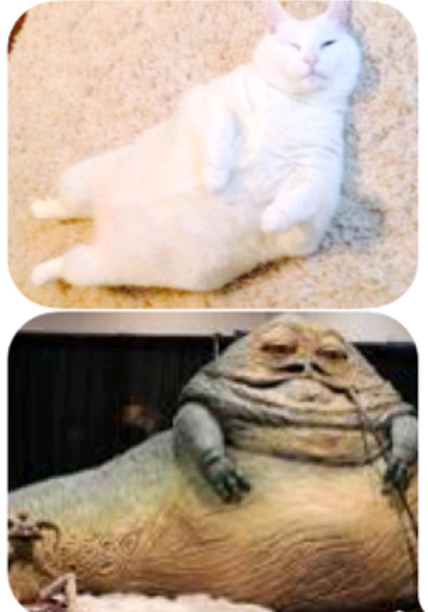 Loganzo_'s tweet photo. #MayTheFourthBeWithYou
#RIPComet https://t.co/fkA2VPKWFB