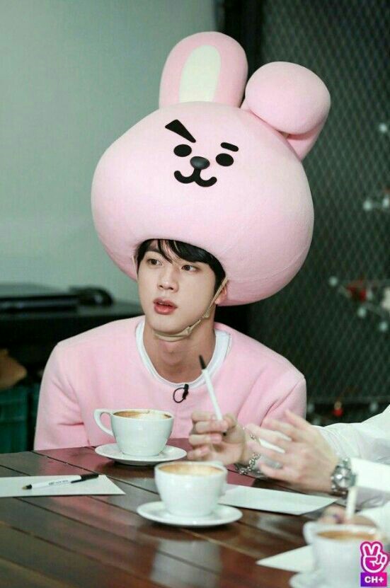 Falyaartama1030's tweet photo. Run BTS episode 45 yang waktu itu jin pake baju cooky bt21 lucu banget kan gemoiiiii / kawaiiiii #gemoii #runbtsep45 #bts #kimnamjoon #kimseokjin #minyoongi #army #BTSARMY https://t.co/vEb6niQkyn