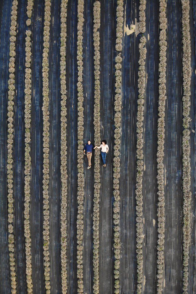 pepperharrow_'s tweet photo. Jenn and I getting a little bit of lavender aromatherapy in this weekend. I can’t wait retake this shot when this field is in full bloom. 💜 We’ll be laying in a deafening buzz of a zillion bees but totally worth it. 🐝
✨👃💜 #lavender #pepperharrow #iowa #iowalife https://t.co/foZ4rlCMRh